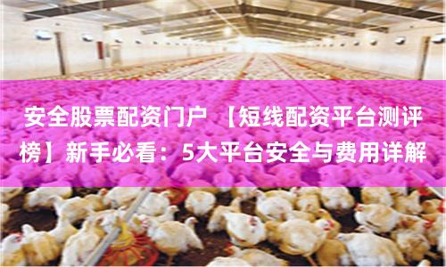 安全股票配资门户 【短线配资平台测评榜】新手必看：5大平台安全与费用详解
